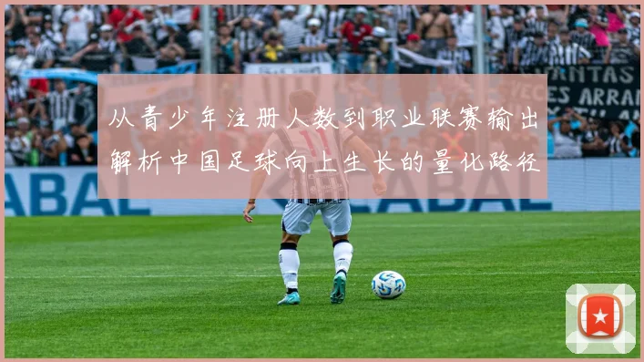 从青少年注册人数到职业联赛输出解析中国足球向上生长的量化路径与挑战