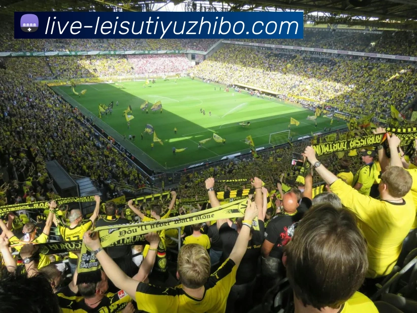 多媒体互动体验